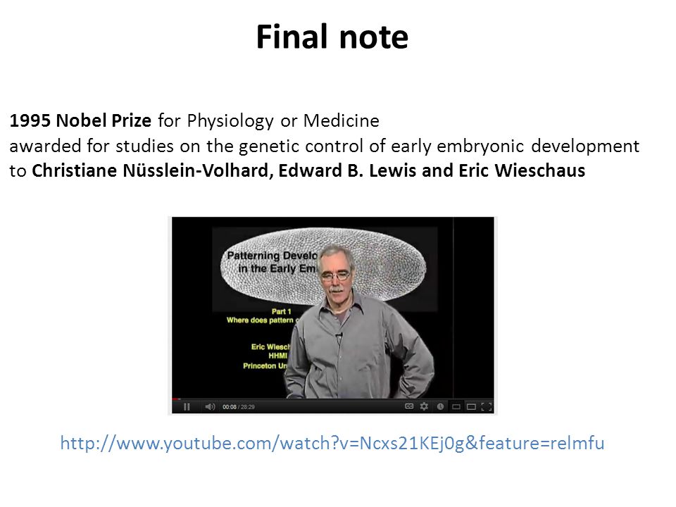 1995 Nobel Prize for Physiology or Medicine awarded for studies on the genetic control of early embryonic development to Christiane Nüsslein-Volhard, Edward B.