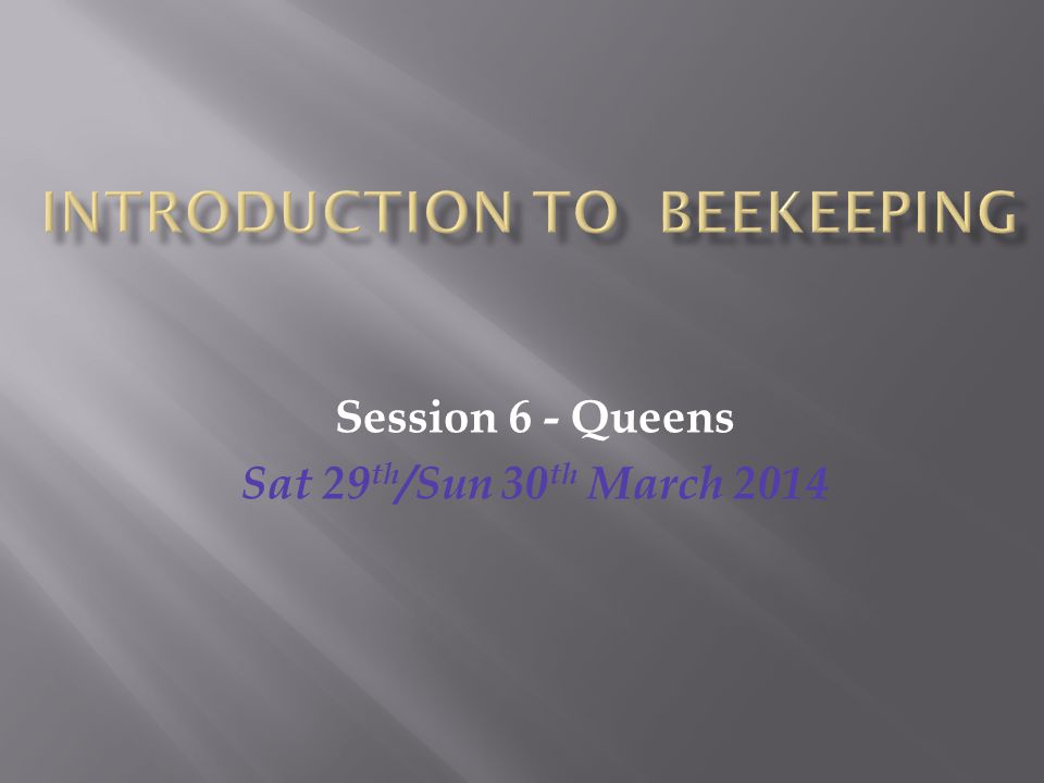 Session 6 - Queens Sat 29 th /Sun 30 th March 2014