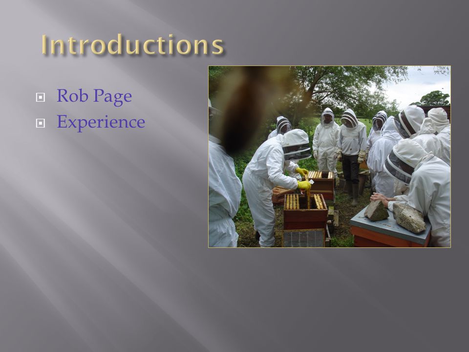  Rob Page  Experience