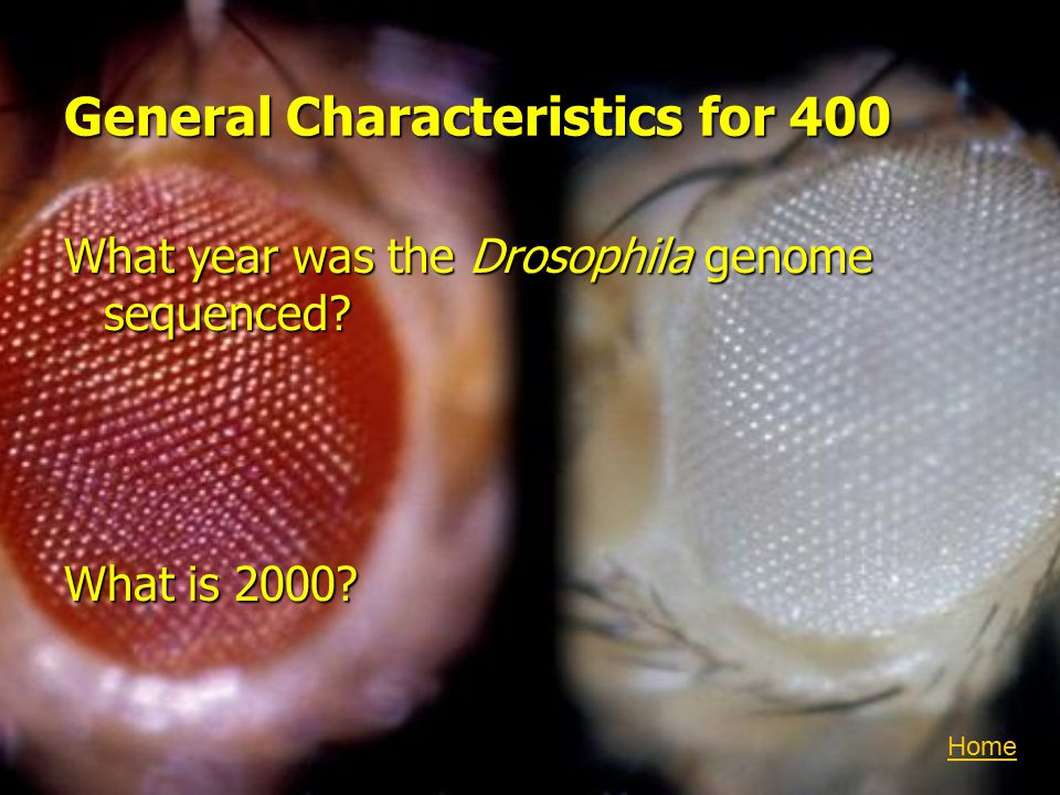 General Characteristics for 400 What year was the Drosophila genome sequenced What is 2000 Home