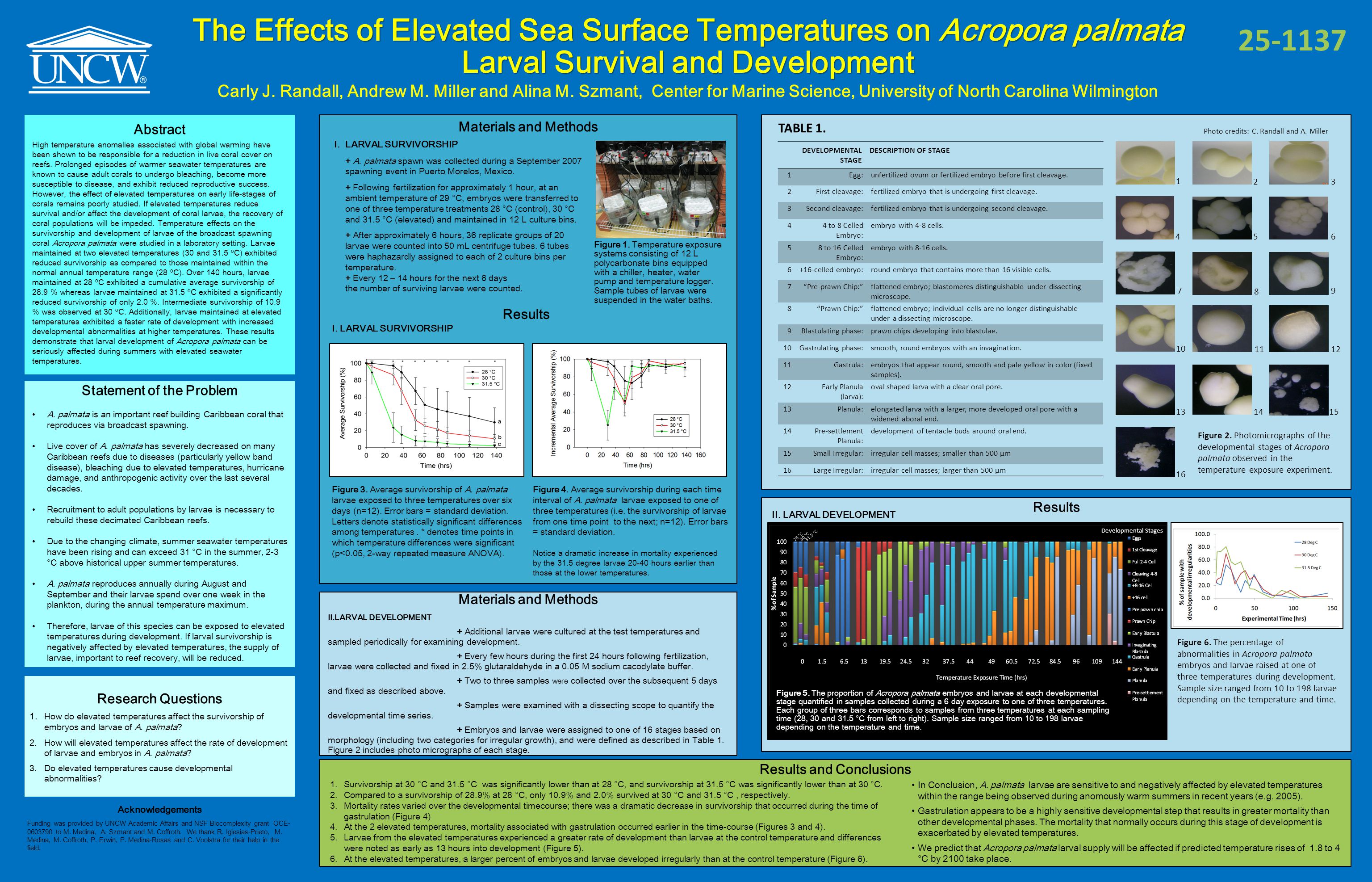 The Effects of Elevated Sea Surface Temperatures on Acropora palmata Larval Survival and Development Carly J.