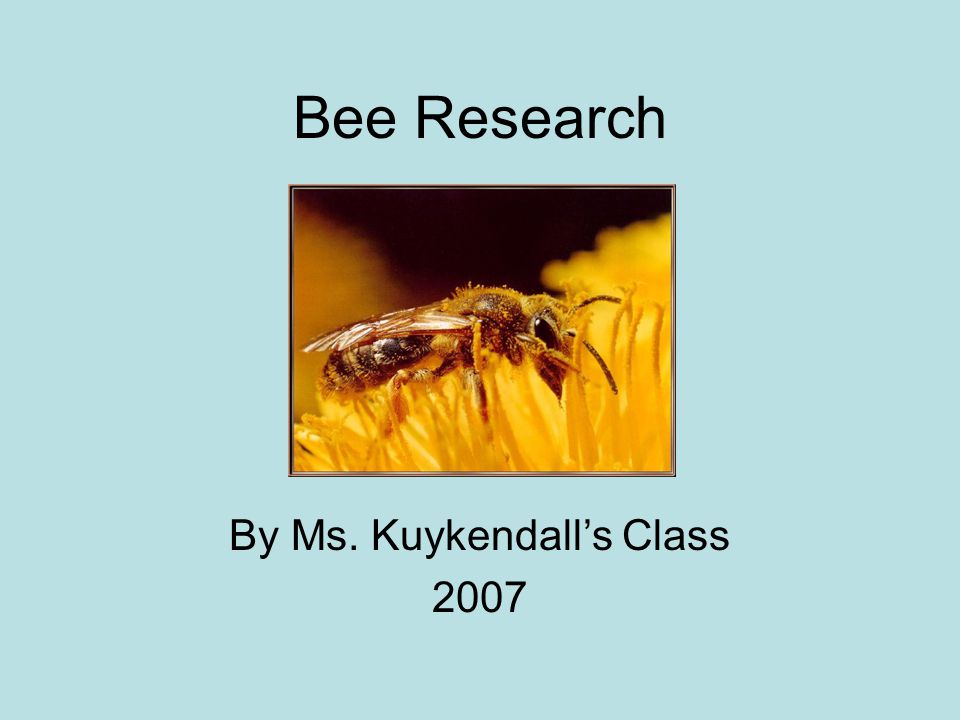 Bee Research By Ms. Kuykendall’s Class 2007