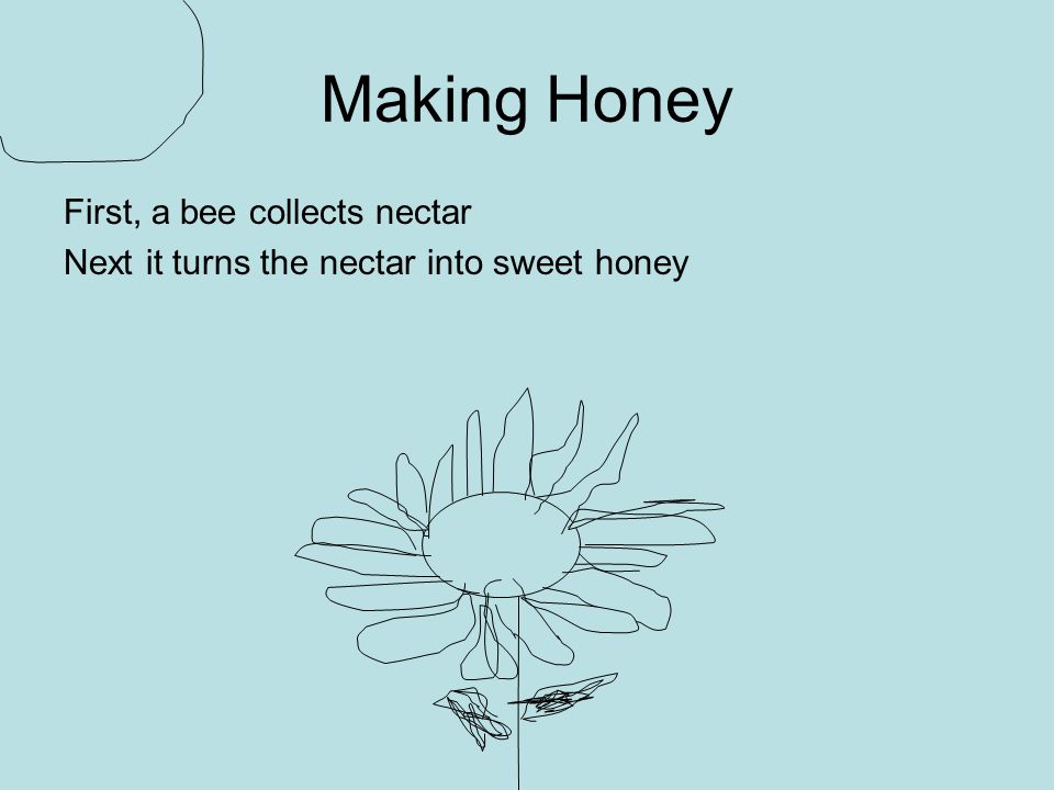 Making Honey First, a bee collects nectar Next it turns the nectar into sweet honey