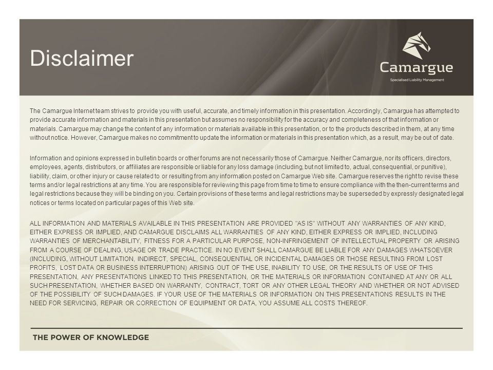 Disclaimer The Camargue Internet team strives to provide you with useful, accurate, and timely information in this presentation.