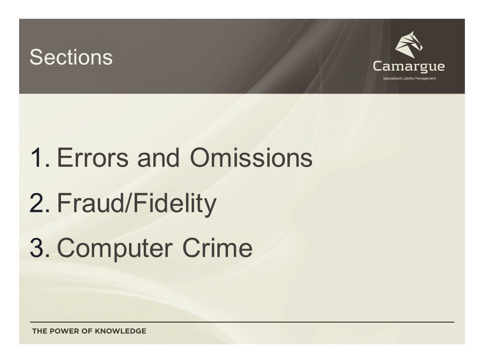 Sections 1.Errors and Omissions 2.Fraud/Fidelity 3.Computer Crime