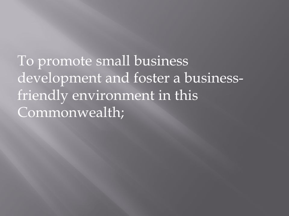 To promote small business development and foster a business- friendly environment in this Commonwealth;