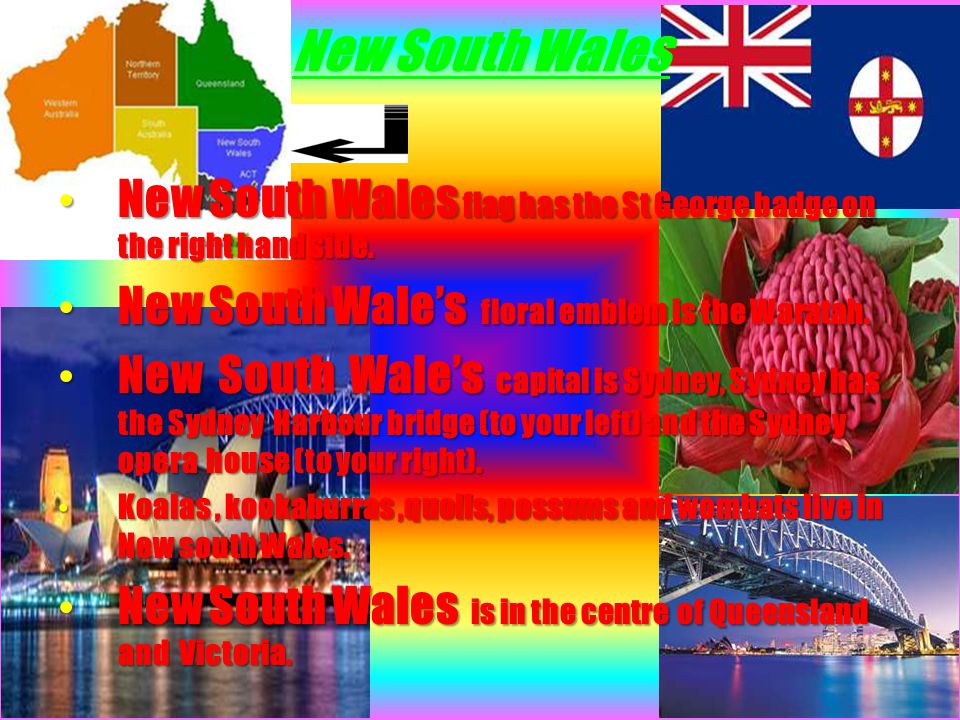 New South Wales New South Wales flag has the St George badge on the right hand side.