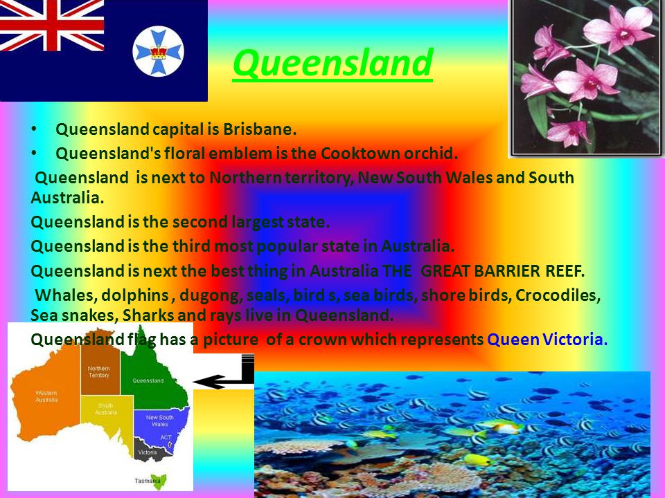 Queensland Queensland capital is Brisbane. Queensland s floral emblem is the Cooktown orchid.