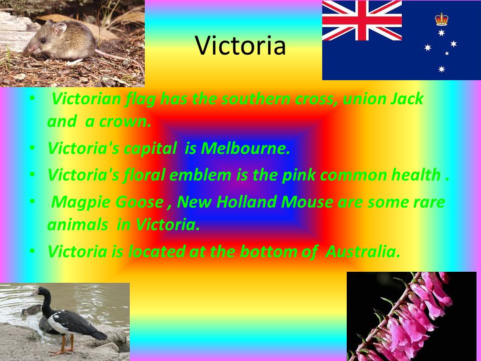 Victoria Victorian flag has the southern cross, union Jack and a crown.