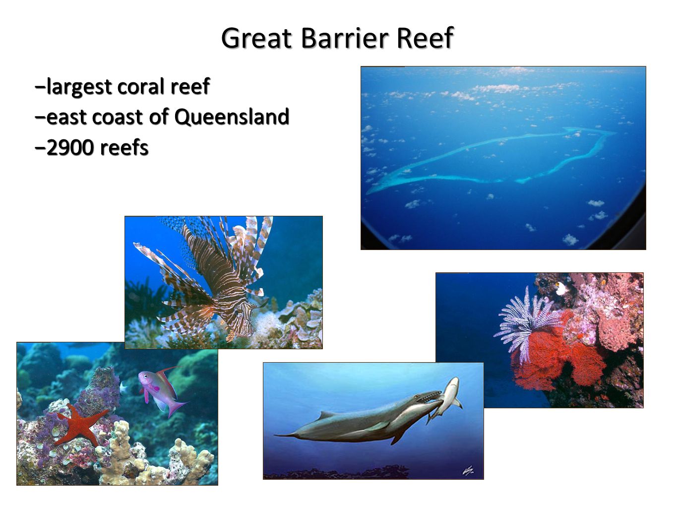 −largest coral reef −east coast of Queensland −2900 reefs Great Barrier Reef