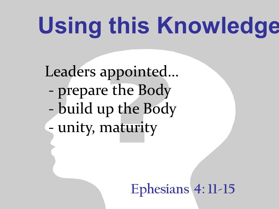 Leaders appointed… - prepare the Body - build up the Body - unity, maturity Using this Knowledge Ephesians 4: 11-15