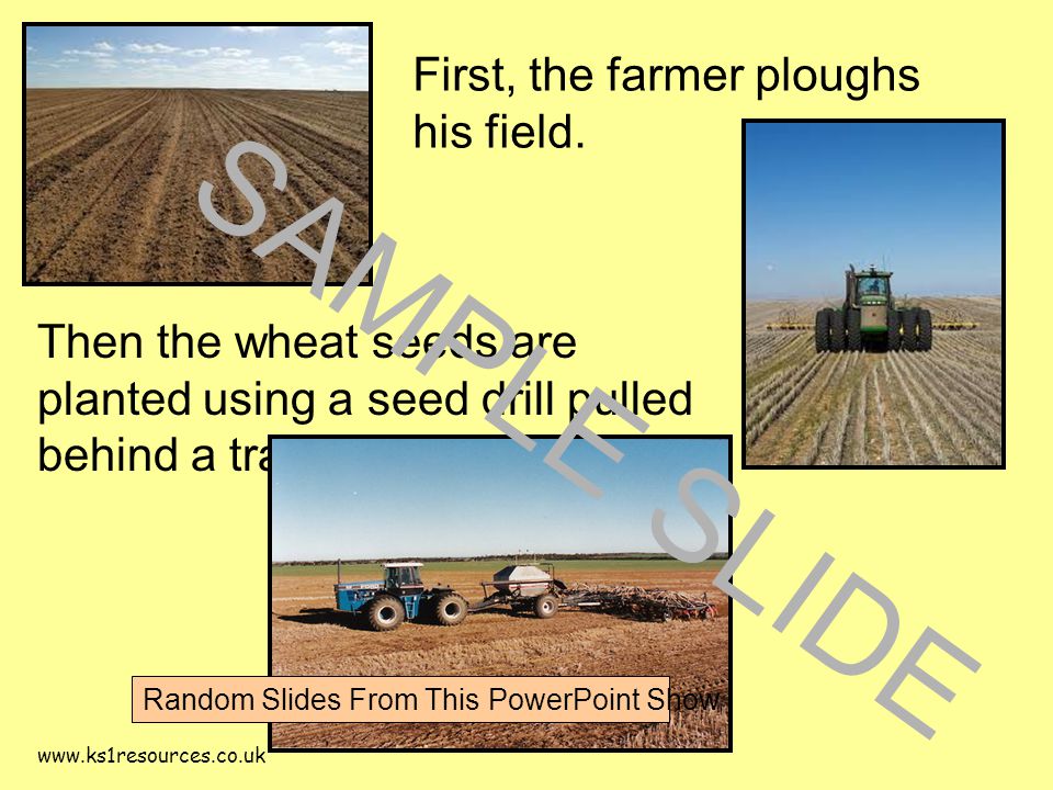 First, the farmer ploughs his field.