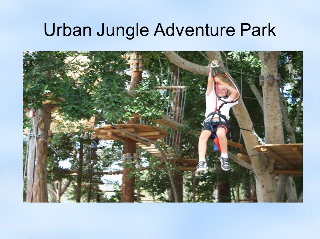 Urban Jungle Adventure Park