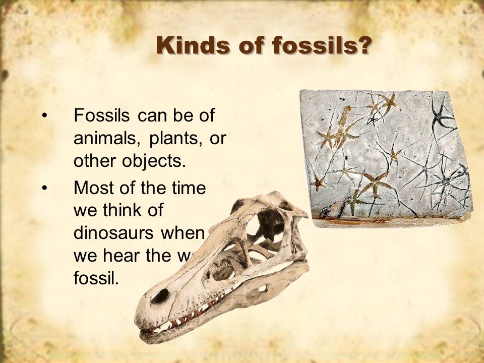 Meaning fossil What Does
