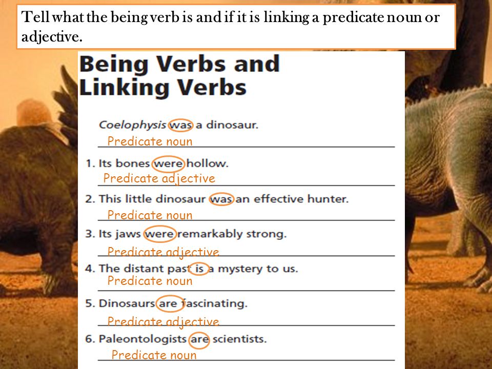 Tell what the being verb is and if it is linking a predicate noun or adjective.