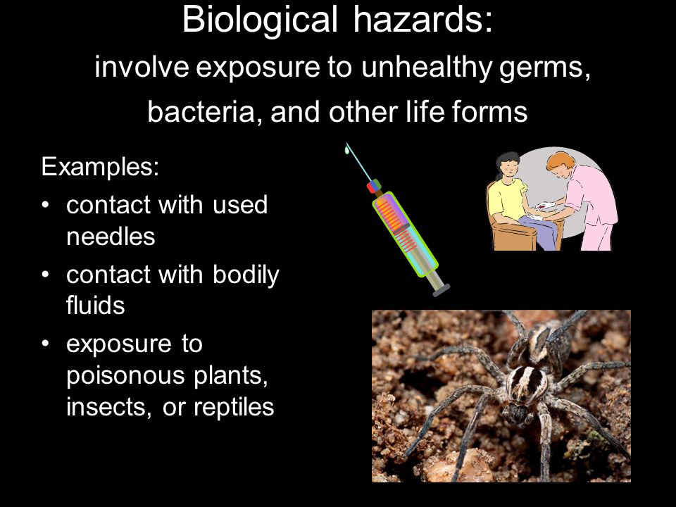 Biological hazards: involve exposure to unhealthy germs, bacteria, and other life forms Examples: contact with used needles contact with bodily fluids exposure to poisonous plants, insects, or reptiles
