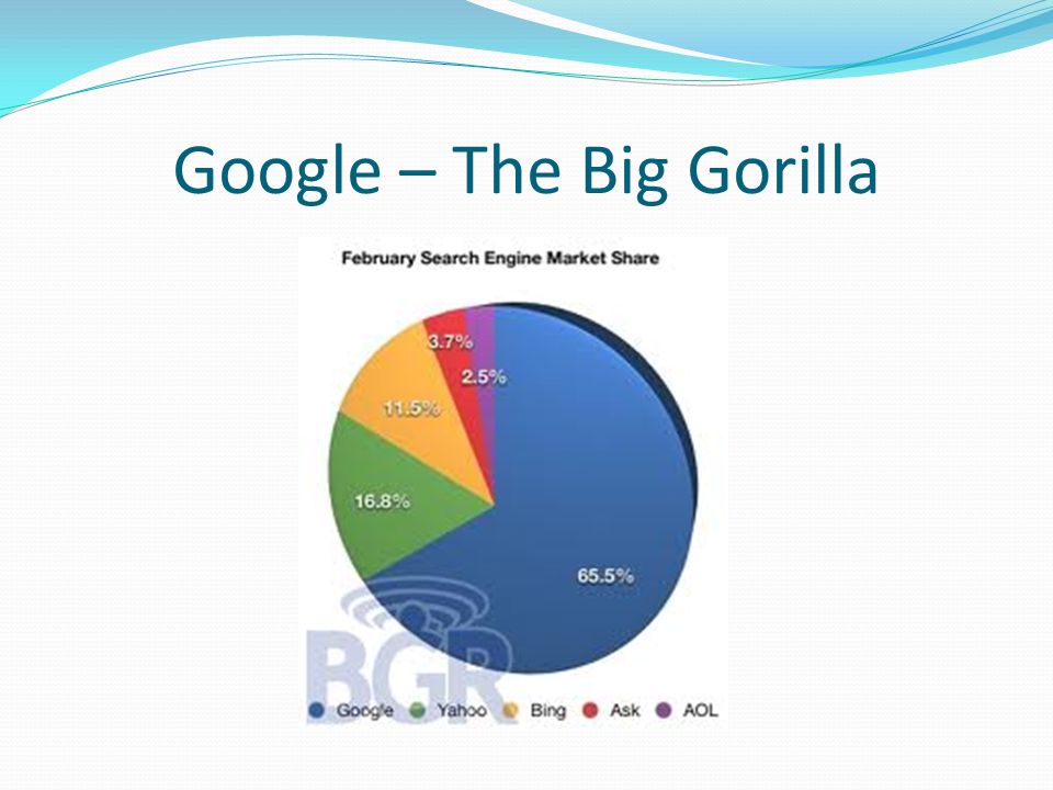 Google – The Big Gorilla