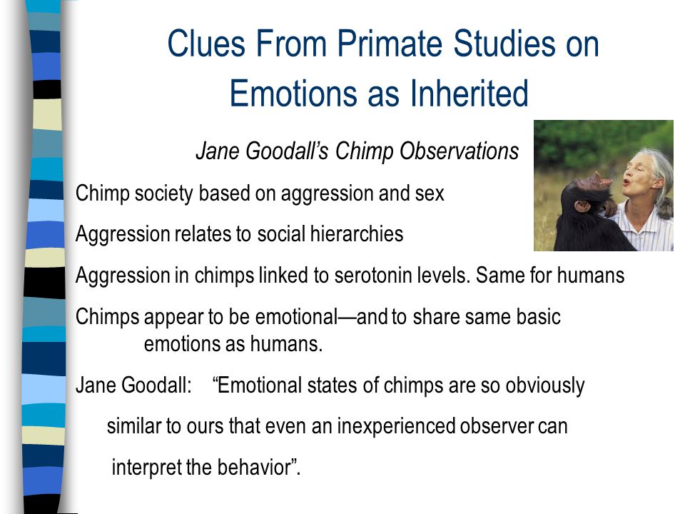 DO ANIMALS HAVE EMOTIONS? kPw. - ppt download
