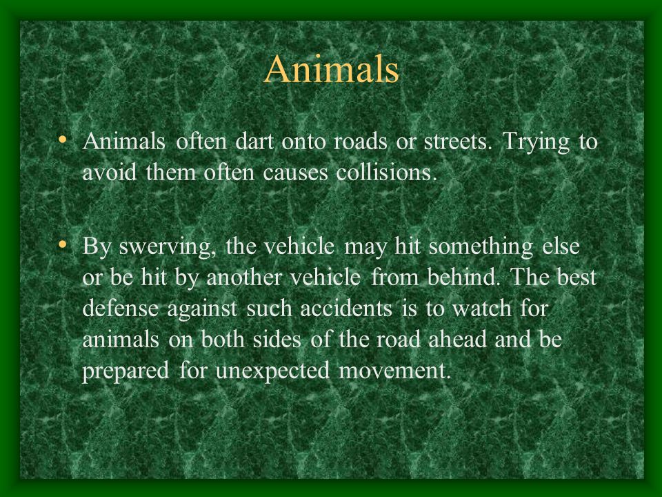 Animals Animals often dart onto roads or streets. Trying to avoid them often causes collisions.