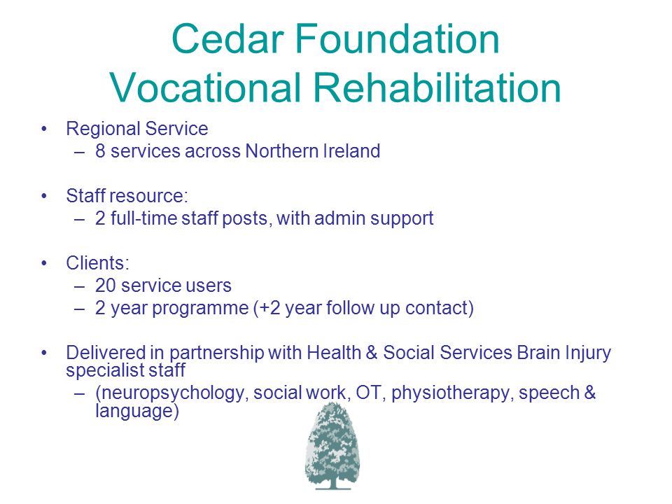 Cedar Foundation Vocational Rehabilitation Regional Service –8 services across Northern Ireland Staff resource: –2 full-time staff posts, with admin support Clients: –20 service users –2 year programme (+2 year follow up contact) Delivered in partnership with Health & Social Services Brain Injury specialist staff –(neuropsychology, social work, OT, physiotherapy, speech & language)