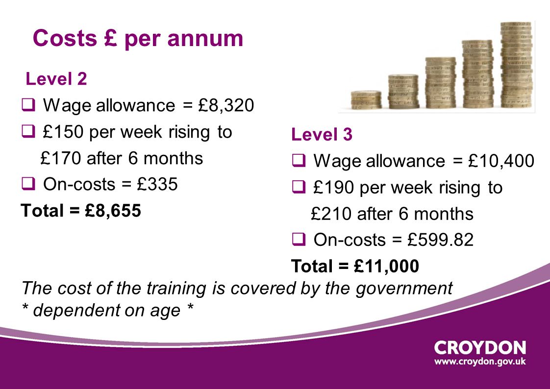 Costs £ per annum Level 2  Wage allowance = £8,320  £150 per week rising to £170 after 6 months  On-costs = £335 Total = £8,655 The cost of the training is covered by the government * dependent on age * Level 3  Wage allowance = £10,400  £190 per week rising to £210 after 6 months  On-costs = £ Total = £11,000