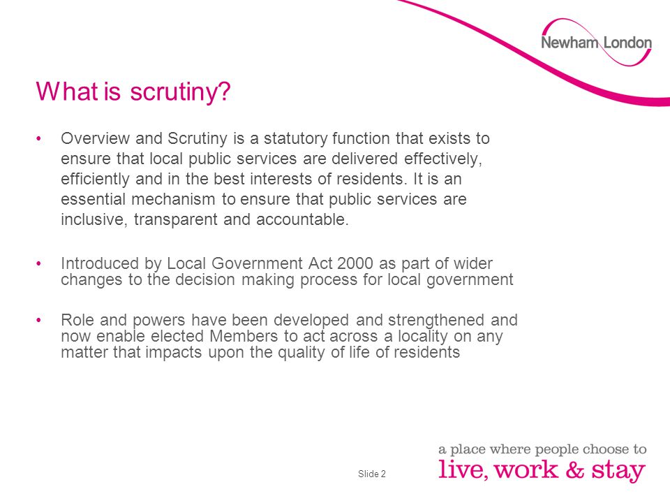 Slide 2 What is scrutiny.