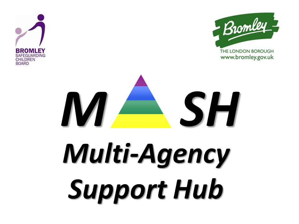MSH M SH Multi-Agency Support Hub