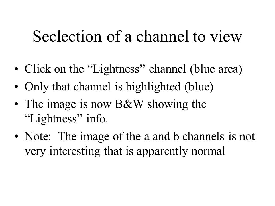 Seclection of a channel to view Click on the Lightness channel (blue area) Only that channel is highlighted (blue) The image is now B&W showing the Lightness info.