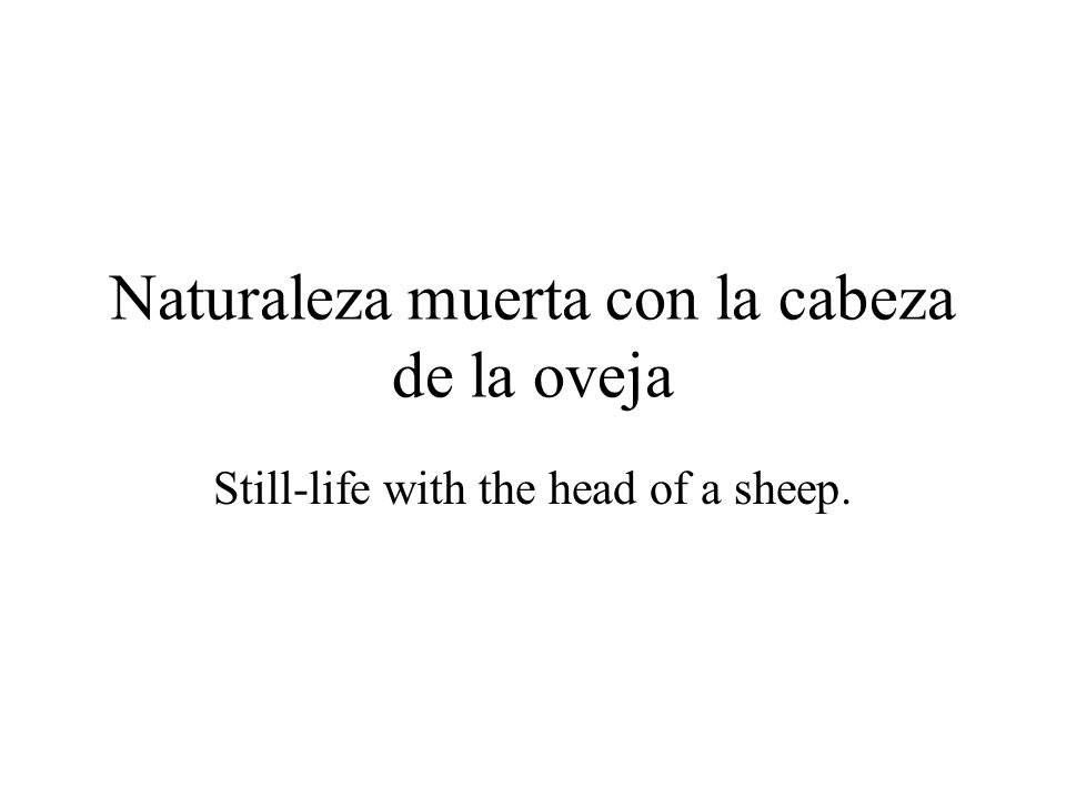 Naturaleza muerta con la cabeza de la oveja Still-life with the head of a sheep.