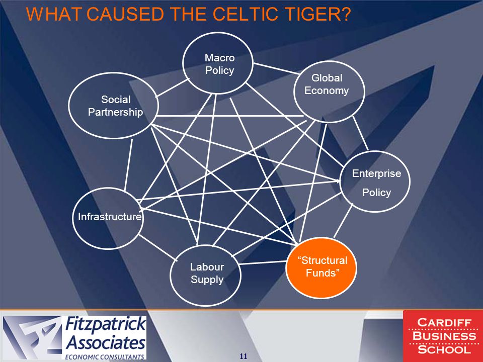 WHAT CAUSED THE CELTIC TIGER.