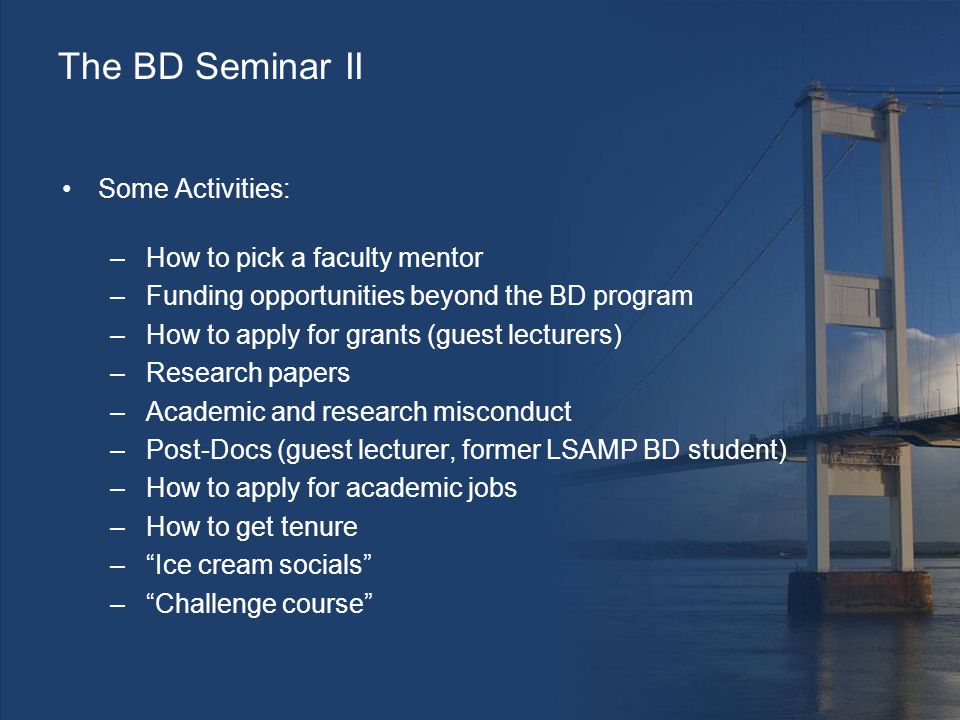 The BD Seminar II Some Activities: –How to pick a faculty mentor –Funding opportunities beyond the BD program –How to apply for grants (guest lecturers) –Research papers –Academic and research misconduct –Post-Docs (guest lecturer, former LSAMP BD student) –How to apply for academic jobs –How to get tenure – Ice cream socials – Challenge course