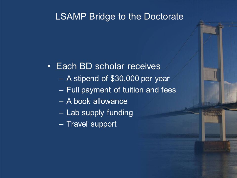 LSAMP Bridge to the Doctorate Each BD scholar receives –A stipend of $30,000 per year –Full payment of tuition and fees –A book allowance –Lab supply funding –Travel support