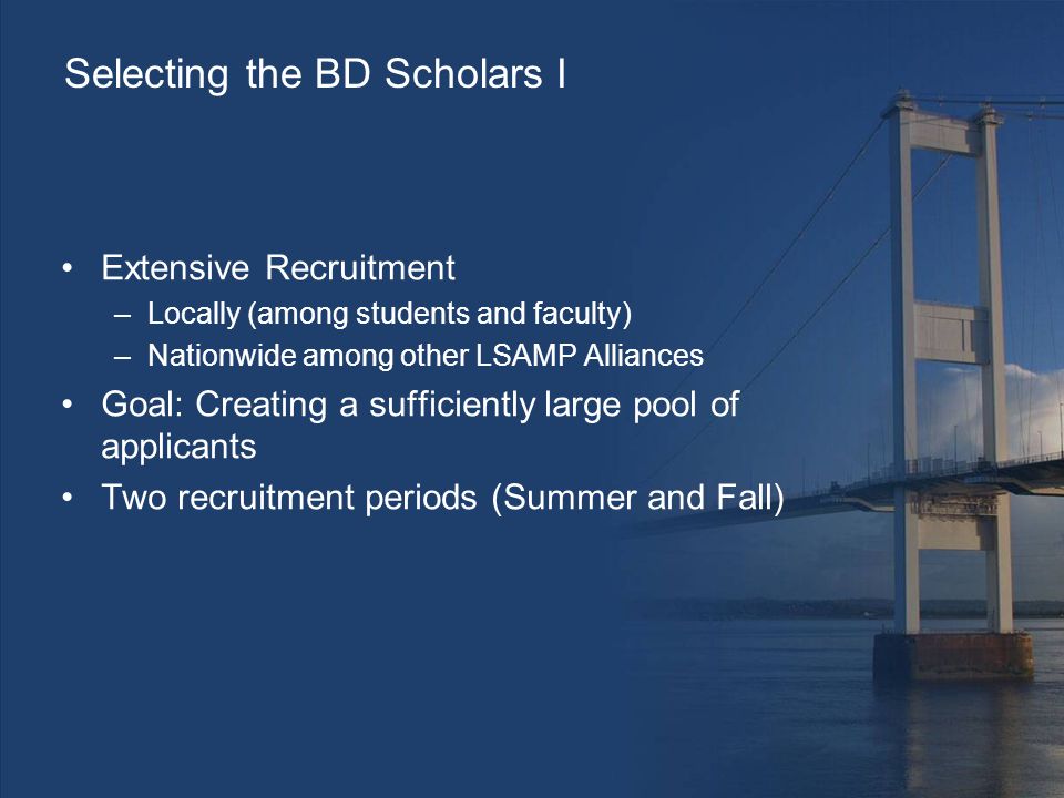 Selecting the BD Scholars I Extensive Recruitment –Locally (among students and faculty) –Nationwide among other LSAMP Alliances Goal: Creating a sufficiently large pool of applicants Two recruitment periods (Summer and Fall)
