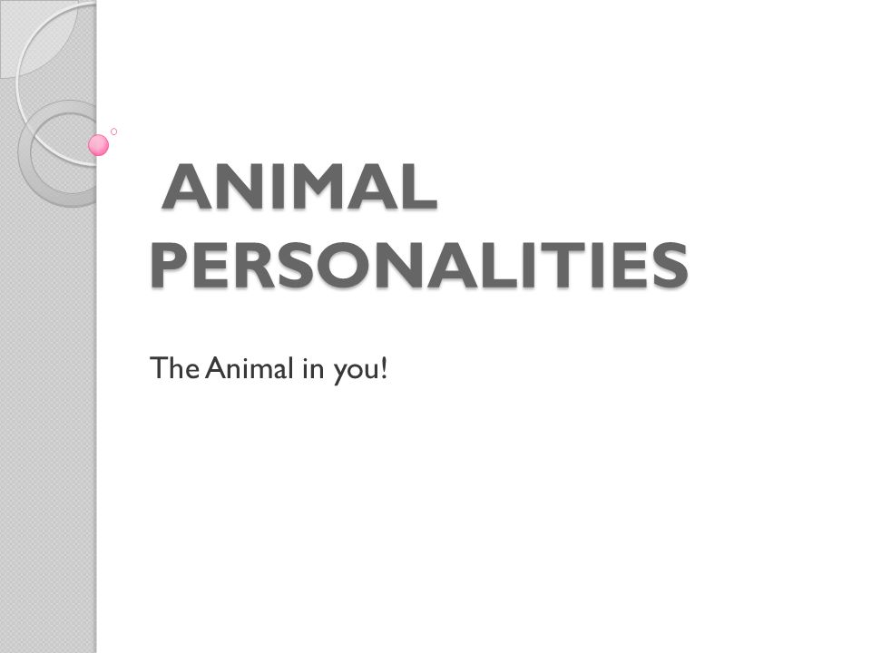 ANIMAL PERSONALITIES ANIMAL PERSONALITIES The Animal in you!
