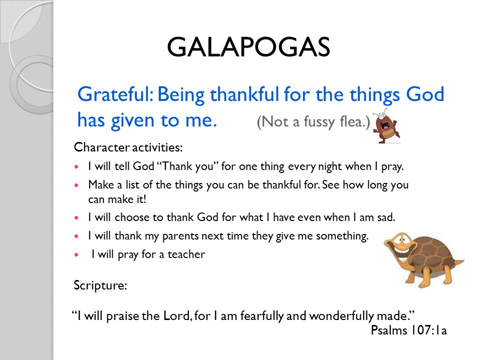 Grateful: Being thankful for the things God has given to me.