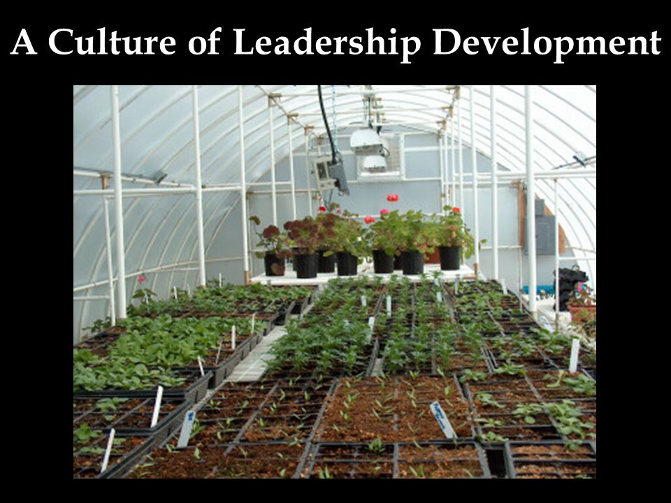 A Culture of Leadership Development