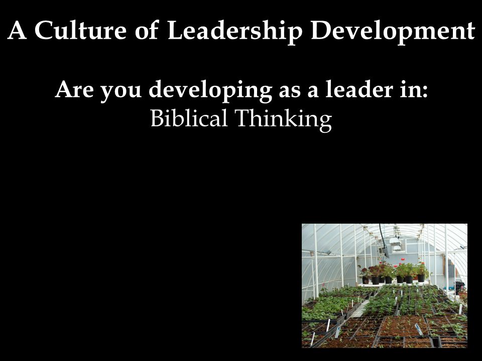 Are you developing as a leader in: Biblical Thinking