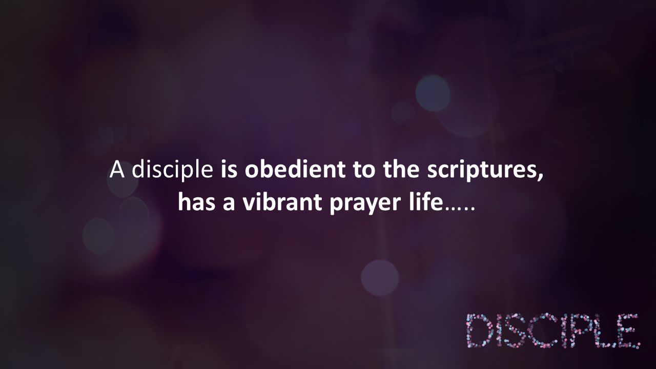 A disciple is obedient to the scriptures, has a vibrant prayer life…..