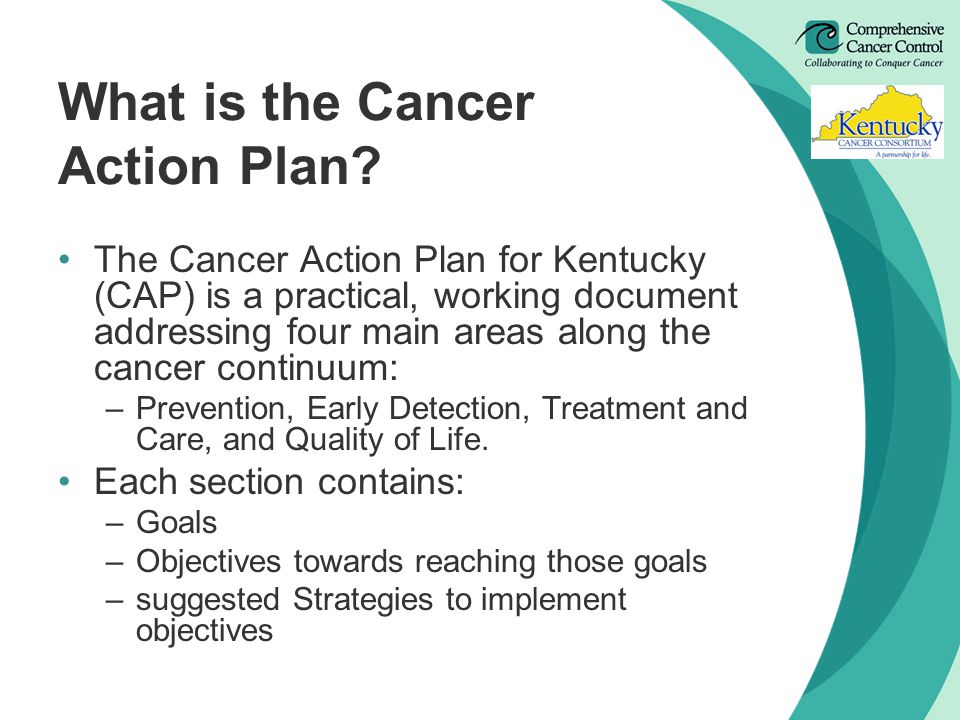 What is the Cancer Action Plan.