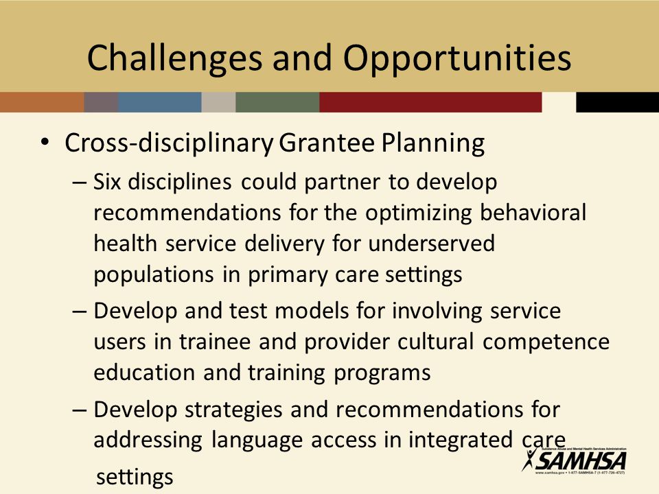 Challenges and Opportunities Cross-disciplinary Grantee Planning – Six disciplines could partner to develop recommendations for the optimizing behavioral health service delivery for underserved populations in primary care settings – Develop and test models for involving service users in trainee and provider cultural competence education and training programs – Develop strategies and recommendations for addressing language access in integrated care settings