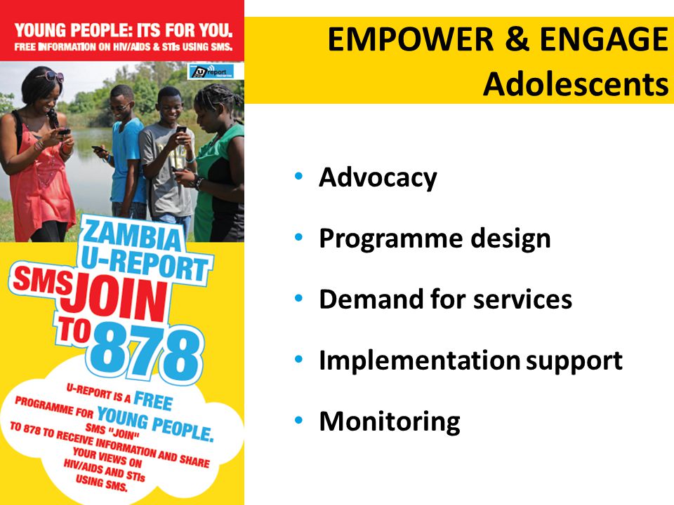 Advocacy Programme design Demand for services Implementation support Monitoring