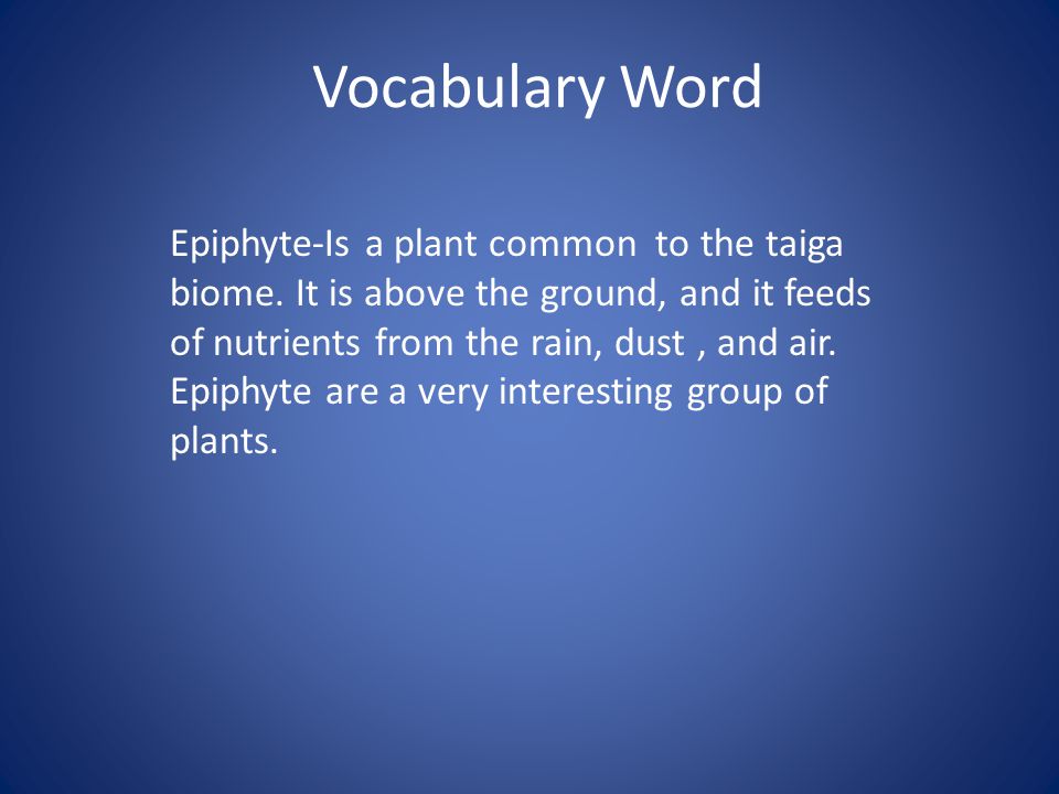 Vocabulary Word Epiphyte-Is a plant common to the taiga biome.
