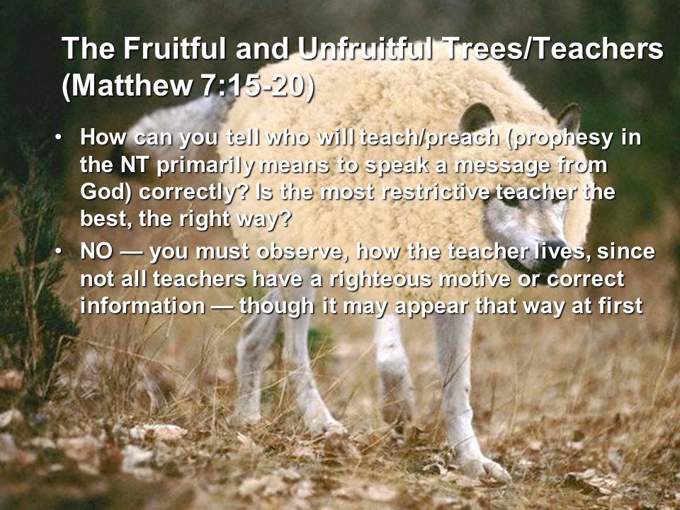 The Fruitful and Unfruitful Trees/Teachers (Matthew 7:15-20) How can you tell who will teach/preach (prophesy in the NT primarily means to speak a message from God) correctly.