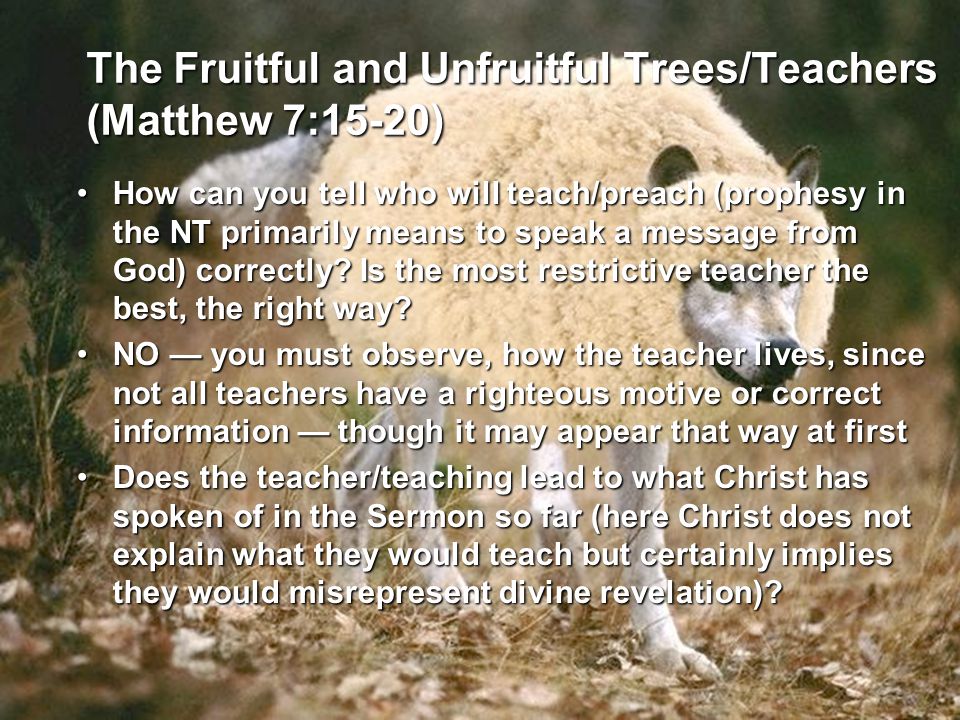 The Fruitful and Unfruitful Trees/Teachers (Matthew 7:15-20) How can you tell who will teach/preach (prophesy in the NT primarily means to speak a message from God) correctly.