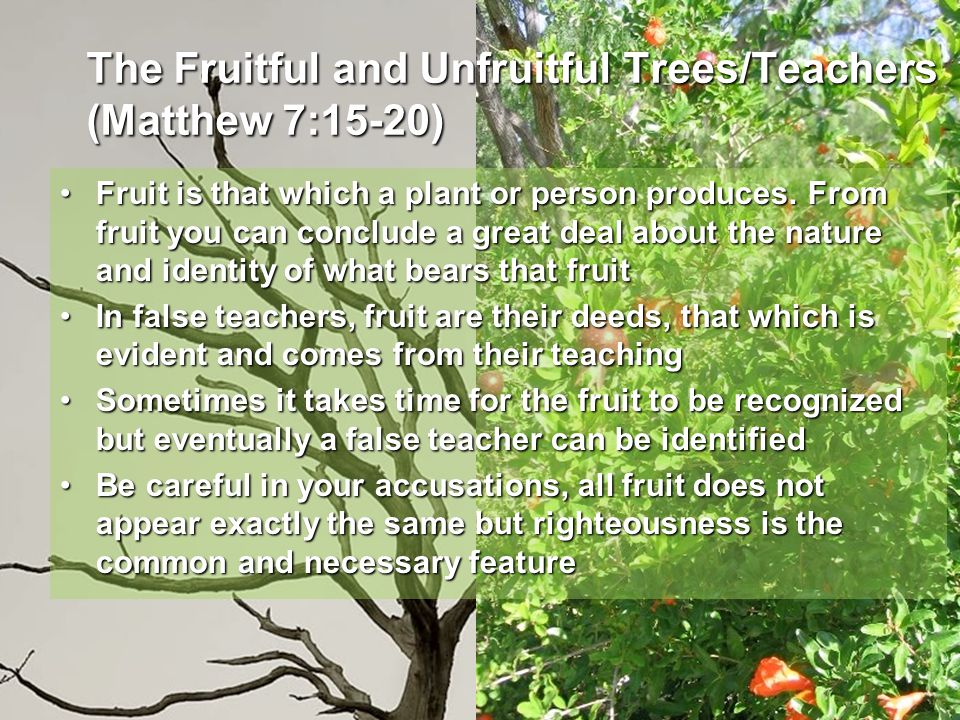 The Fruitful and Unfruitful Trees/Teachers (Matthew 7:15-20) Fruit is that which a plant or person produces.