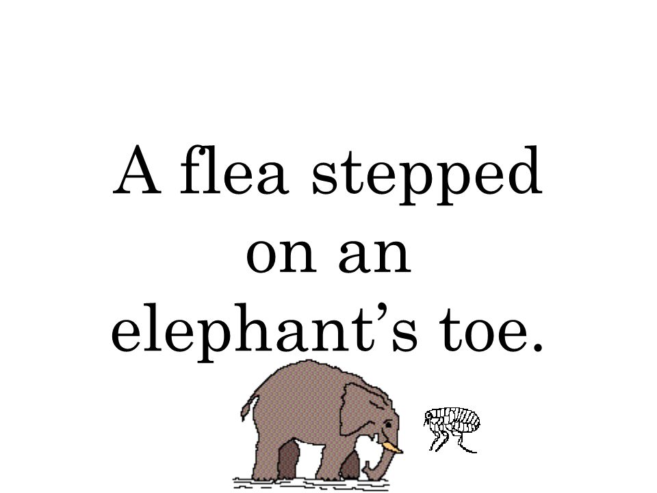 The Elephant And The Flea PDF Free Download