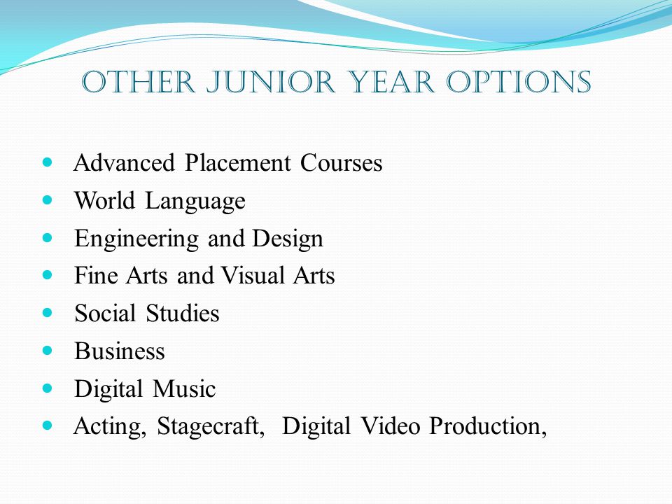 Other Junior Year Options Advanced Placement Courses World Language Engineering and Design Fine Arts and Visual Arts Social Studies Business Digital Music Acting, Stagecraft, Digital Video Production,