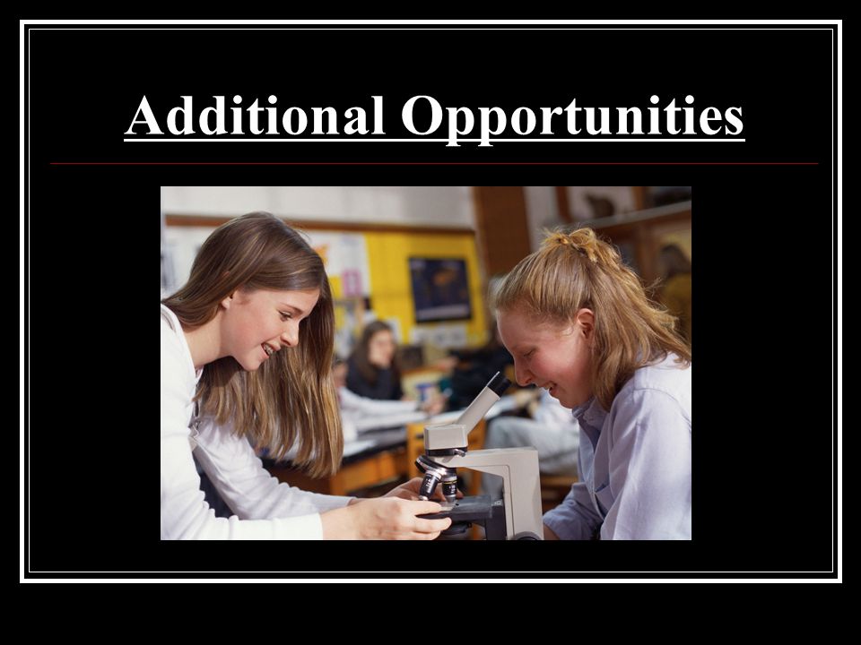 Additional Opportunities