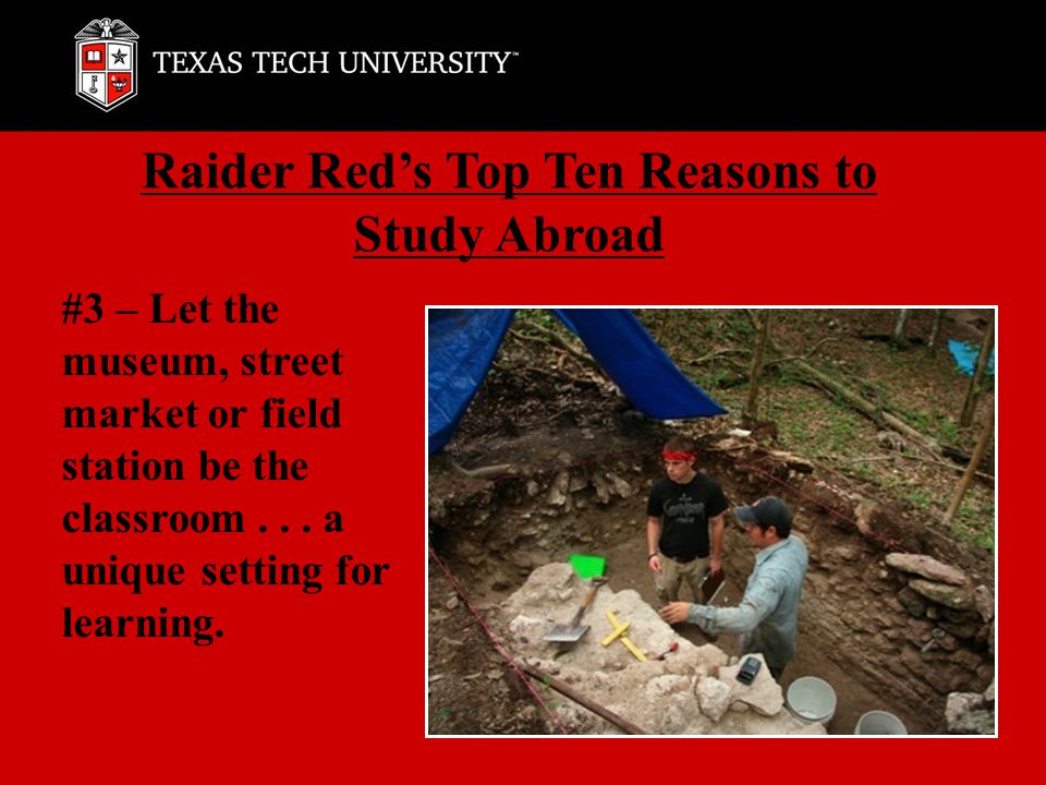#3 – Let the museum, street market or field station be the classroom...