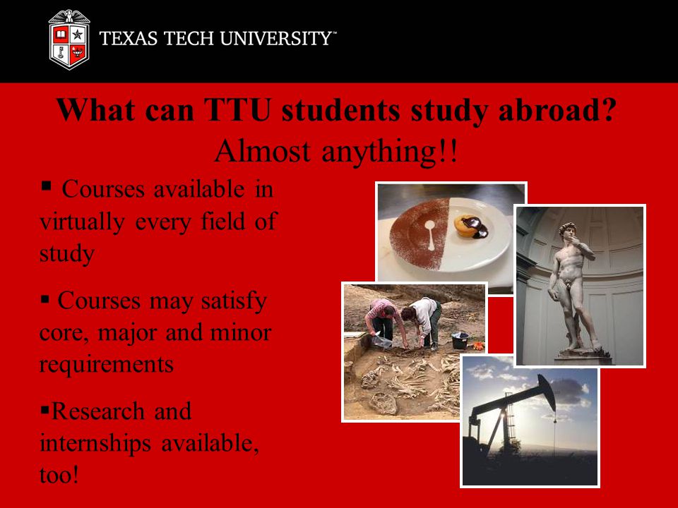 What can TTU students study abroad. Almost anything!.